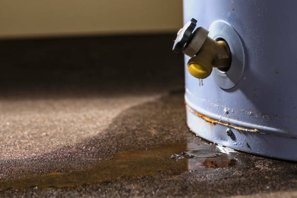 Best Water damage contractors near me  in Wautoma, WI