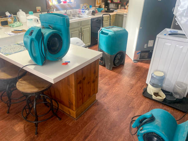 Best Residential water damage restoration  in Wautoma, WI