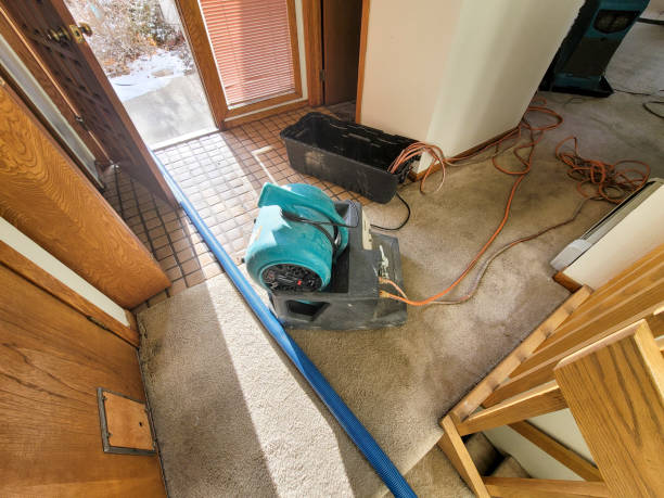 Best Flooded house restoration  in Wautoma, WI
