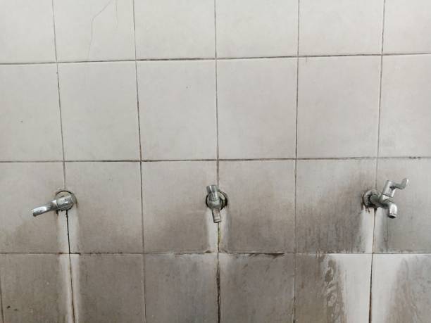 Best Flood damage cleanup  in Wautoma, WI