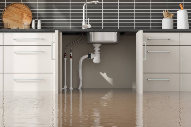 Best Water damage restoration experts  in Wautoma, WI