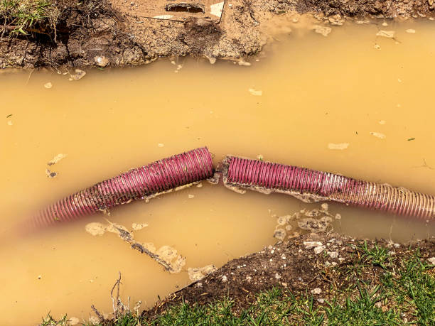 Best Sewage cleanup and water damage restoration  in Wautoma, WI