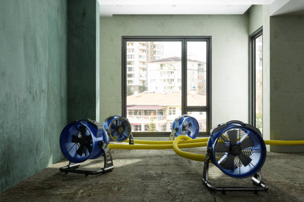 Best Water damage cleanup near me  in Wautoma, WI